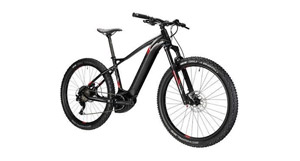 Margam Park Adventure Mountain Bike Hire