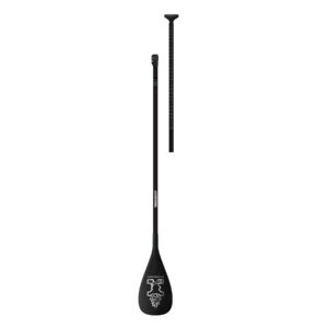 Starboard Enduro 2 Piece SUP Paddle For Sale Margam Park Adventure