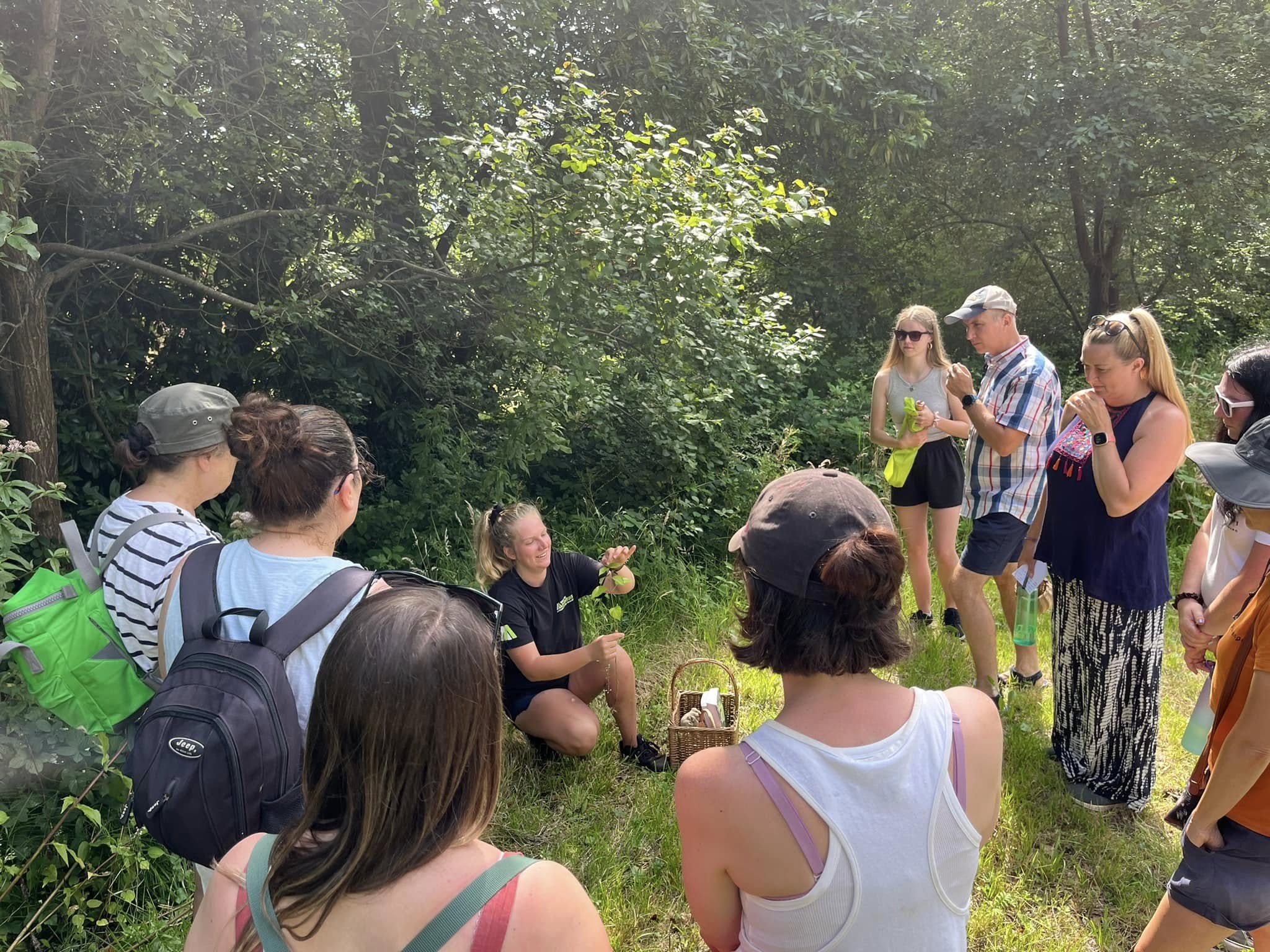 Forager Activity Saturday 26th July - Beginners Foraging Workshop - 1:30pm - Margam Park ...